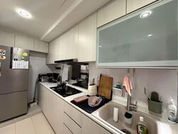 Oasis @ Elias (D18), Condominium #528237471